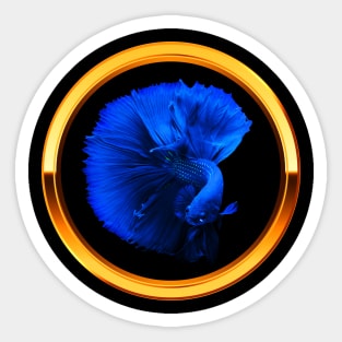 Blue Fighter Fish Sticker